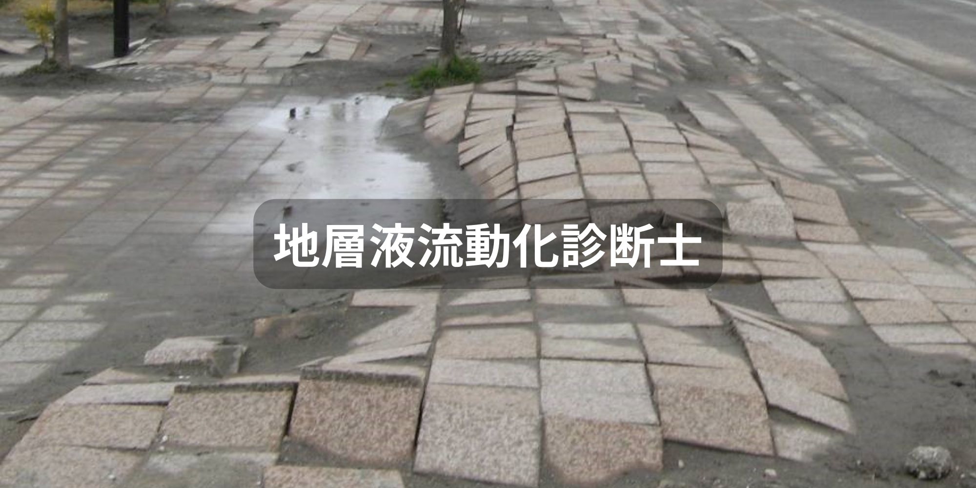地層液流動化診断士のご案内